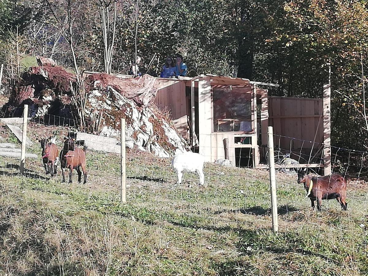 Haus Alpin Lofer Apartman Kültér fotó